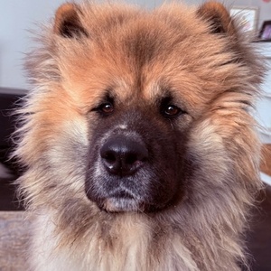 Fundraising Page: Elena Molau